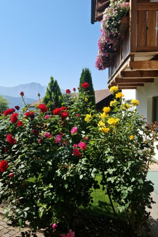 Impressionen - Chalet Sassun Impressionen - Chalet Sassun